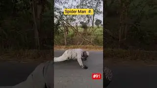 #91 Spider Man Walk 🕷️ #spiderman #exercise #fitness #workout #shorts