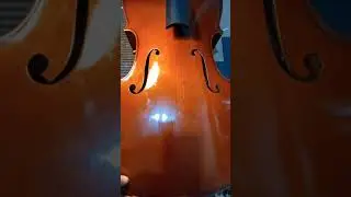 Violoncelo Eagle CE200, estado deploravel que v&ecirc;m da f&aacute;brica.