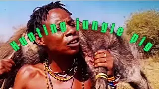 Traditional African Hunting | Deer & Baboon Hunt with Dogs in Deep Forest 🐕🌿