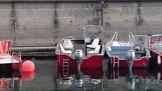 460 viking