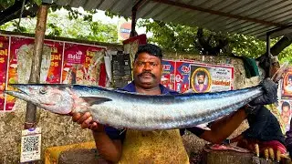 KASIMEDU SPEED SELVAM ARAKOLA FISH 🐟 CUTTING VIDEO \ CUTTING FOCUS