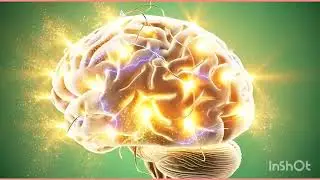 Almond milk inside the body/benefits, side effects animation video 