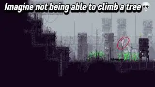 Imagine not being able to climb a tree💀