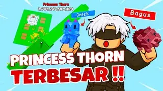 PRINCESS THORN TERBESAR !! HEDGEHOG VS MOONCAT METHOD ?! Grow A Garden