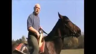 POLSKIE TERLICE