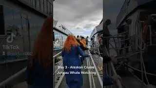 Day 3 - Alaskan Cruise - Juneau Whale Watching