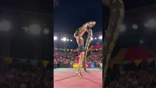 Giant Snake in the Circus Ring &ndash; A Jaw-Dropping Performance! #shorts #trending