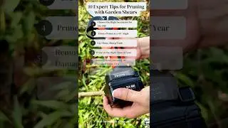 10 Expert Tips for Pruning with Garden Shears (Secateurs)#GardenTips #PruningTips #Secateurs