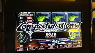 pa skills does bonus stacking work 40 in on wild beasts