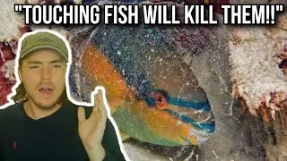 FACT OR FICTION: Do Fish Have A Slime Coating?