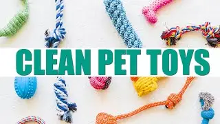 ► HOW TO CLEAN PET TOYS | CLEANIING TIPS
