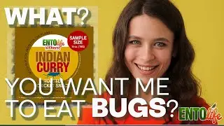 A Flavor For Anyone: Cricket Sample Packs #1 and #2 | Edible Insects