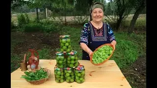 Натуральная маринованная слива и салат | Мы собрали зеленые сливы из нашего сада в деревне