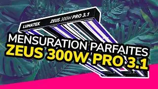 Pr&eacute;sentation du Zeus 300W PRO 3.1