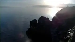 Cliff-Nesting Seabirds of Gull Island