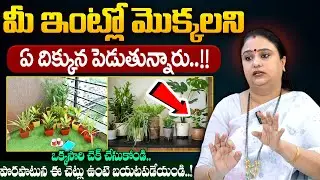 Sreepadma - ఇంట్లో మొక్కలు ఏ దిక్కున ఉండాలి | Vastu Tips For Plants at Home | Moral Video | SumanTV