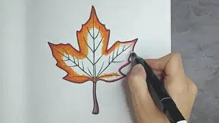 Leaf Coloring Timelapse 🍃 | Real Coloring Moments (Camera Focus Fails Included 😅)