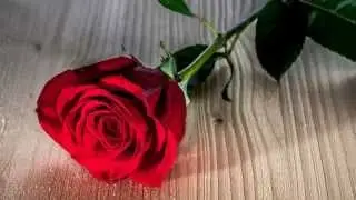 HAPPY BIRTHDAY JACQUELINE