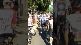 Final stage of Spain's Vuelta abandoned after police clash with pro-Palestinian protesters
