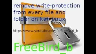 Remove write-protection from all file and folder on kali linux