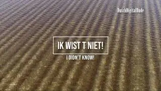 Waarom staan tulpenvelden onder water? Why are tulip fields under water?  #tulips  #tulipbulbs #tulp