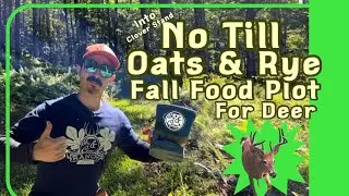 No Till Oats & Rye Fall Food Plot for Deer - Broadcast into Clover 🦌☘️ #foodplots 