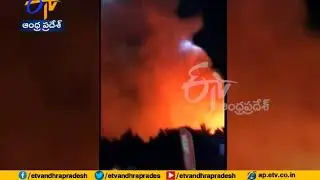 Fresh Island festival | Croatia music event evacuated as fire breaks out