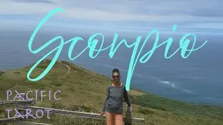 SCORPIO New Moon in Scorpio TAROT - Authentic Authority Guides Your Voice