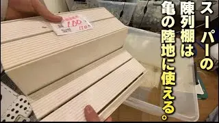 亀の衣装ケースが割れて水が漏れてしんどい。