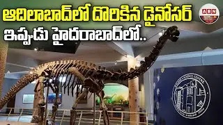 Dinosaur Fossils Found in Adilabad | Dr K Mutyanjaya about Dinosaur Fossils in Adilabad | Birla S...