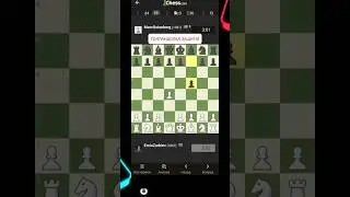 #шахматы