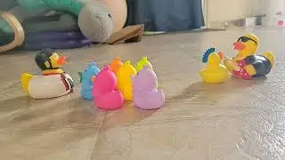 The Great Race of Duck