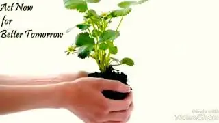 World Environment Day Special Whatsapp Status Video 2019 || Aakash Mohit