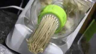 ChiIL Mama's Review: Gourmia Pasta Maker