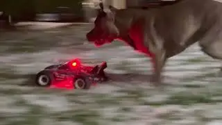 Traxxas-Snowy mini XRT bash 