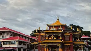 Exciting thing with yenkee miss shreebadam gumpa #travel #video #monastery #buddhism