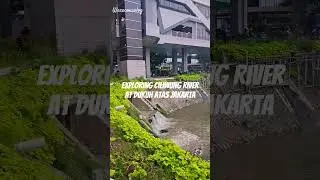 Walking by Ciliwung River #jakarta #river #ciliwung #sungai #scenery #water #waterfall #indonesia