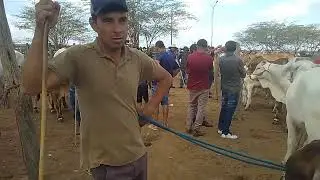 VALDO. SERTttANEJO NA FEIRA DE GADO DE TABIRA PE 31 12 ,2025