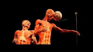 Il Presidente, La Vera Storia di Vladimir Putin - Documentario Completo
