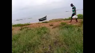 water transport  is unique