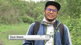 🦉 Pajareando en Tarango: descubriendo la biodiversidad oculta de la ciudad