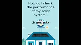 Seed Solar Panels