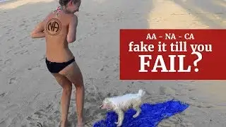 NA & AA Fake it till you fail