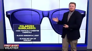 Polarized Sunglasses: The science of glare reduction