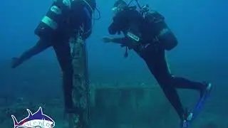 Salento Diving &reg; Madonna dei Due Mari - salento , leuca , diving, immersioni