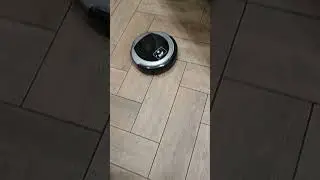 васька пьяный