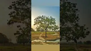 #up51 #basti #incredbleindia #incrediblebasti  #sunrise #beautiful #naturephotography #mobilephoto