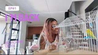 Back on YouTube After a Break | My Life, My Hustle |BEDROOMBULLY