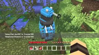 Minecraft roll play