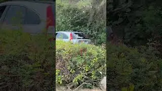 Idealne Daily Honda CRV #honda